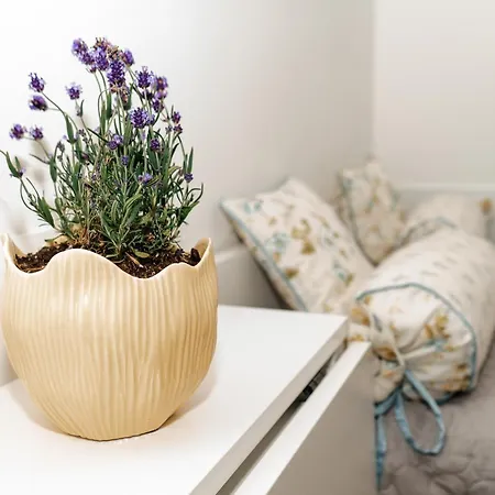 Wilena Apartamento