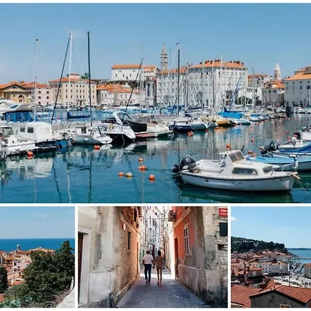 Appartement Casa Murraglia No 4